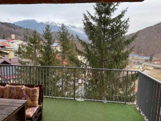 4 Seasons Apartment Sinaia - Sinaia - 9