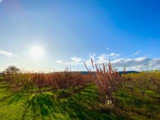 Belle demeure au coeur des Ménafauries - 7