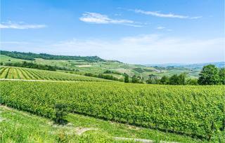 Pet Friendly Home In Vignale Monferrato - Vignale Monferrato - 2