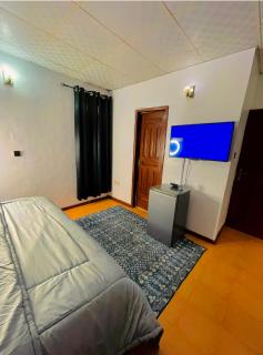 Semi-Detached House - Lekki - 9