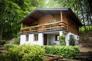 IGEL Home - - 0