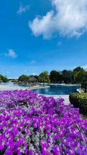 Flat para 04 pessoas - Iloa Residence - 1