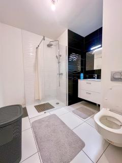 Sahara - appartement ensoleillé au cœur de Reims - Reims - 8