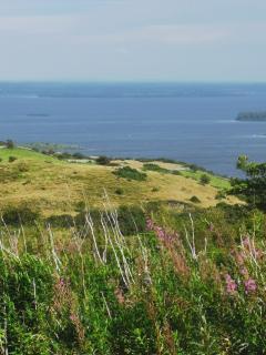 Mountain Cottage with Barn Sauna, Clonbur, Galway - 2