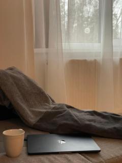 Taikos Apartmentai 2 - Druskininkai - 3