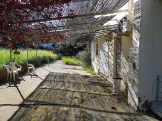 Beachfront House Villa 35min from Athens - 7