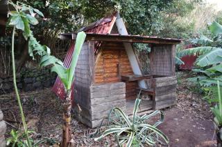 Banana Eco Camp - Angra do Heroísmo - 6