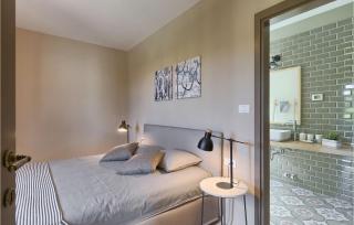 Villa Brih Iii - Motovun - 5