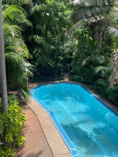 Studio Classic Tropical Darwin - 1