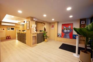 Cat Tail Pocket Inn Ximen - Taipei - 3