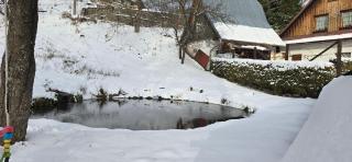 Chalet Spania - Špania Dolina - 2