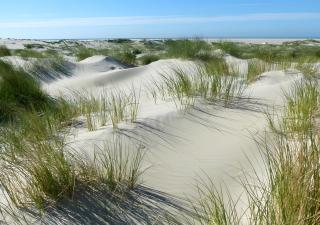Villa Aurora - Borkum - 5