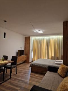 Kopaonik apartment A05 - Kopaonik - 6