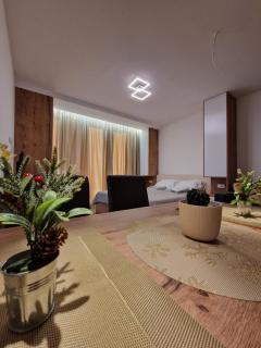 Kopaonik apartment A05 - Kopaonik - 7