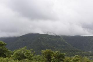 AppleStays Bogun Villa Retreat - Kharakvasla - 6