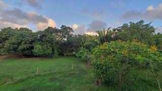 The Tranquil Ranch House at Freshwater Creek Cabanas - - 2