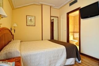 Hotel Alisi - Aranda de Duero - 2