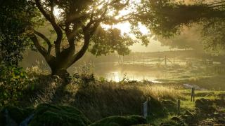 Llwyn Onn Guest House, North Wales - Pentrefoelas - 8