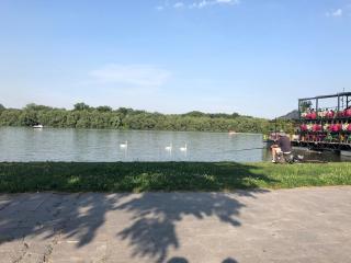 Sunny Valley apartment Zemun - Belgrado - 3