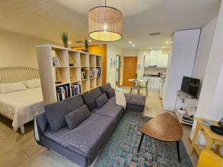 Big Terrace in private Loft on San Francisco street - Alicante - 6