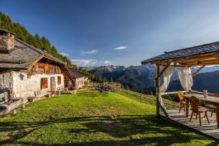 Nestalp Malga Campo - Peio - 1