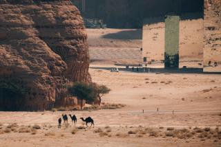 Ashar Tented Resort - Al-ʿUla - 8