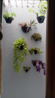 Apartamento mobiliado no centro, Siqueira Campos, - 5