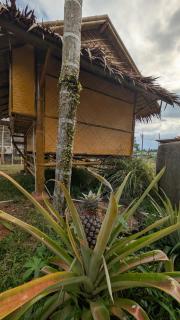 Tarzan Bamboo hut - 7