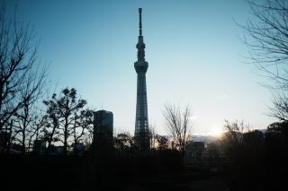 京成曳舟駅徒歩3分 寶島 1階 全1室 - Tokyo - 4