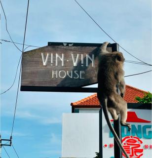 Vin vin - Ubud - 8