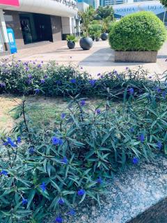 Panoramic Marina View - 1