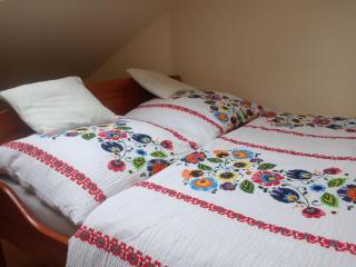 Gospodarstwo Agroturystyczne Stajnia Grudki Energylandia Zator - Zator - 7