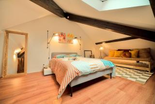 Superbe appartement contemporain Mulhouse Centre - Mulhouse - 8