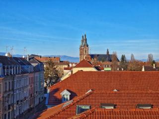 Logement Traditionnel au Style Alsacien Central - Mulhouse - 8