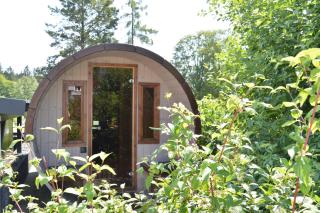 Bergtraum Braunlage im Harz, 17 Gäste, Sauna, Hottub-Pool - Braunlage - 5
