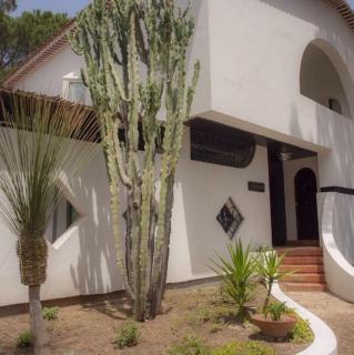 Villa Grace Home Holiday 50 mt from the sea - Forte Village - 4