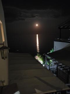 Ilaira Beach Apartments - 1