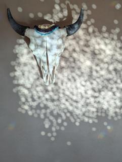 Earthship in Taos - A Sustainable Desert Sanctuary - 1