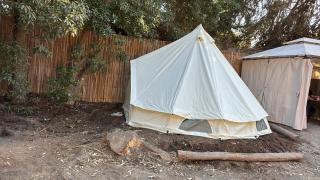 Glamping El Arbol - Naturaleza y Mar - 6