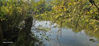 Mountain river farm resort - 4