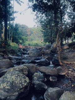Mountain river farm resort - - 2