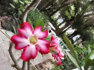 Charming house with private pool in Cap Skirring - 4