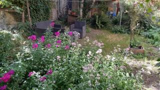 la tute de l'ours - 7