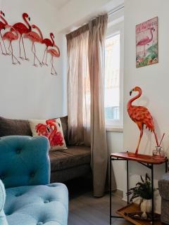 Flamingo - Sesimbra - 0