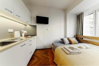 Serenity Apartment Pellicova - Brno - 8