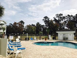 Beautiful Spacious condo in the center of MB - 0
