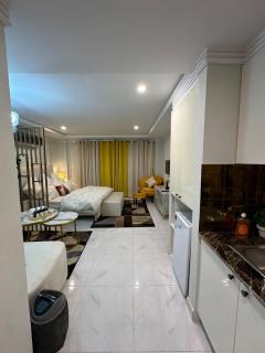 Modern and Luxury 1BHK Studio-Self Check-in-Eiffle - Lahore - 5