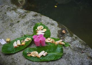 Unique House in Coffee Farm in heart of jungle - 4