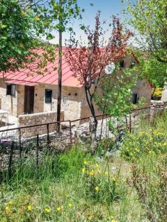 Comfortable house in Cortes do Meio with garden - Cortes do Meio - 9