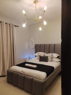 Zoe Homes 1 bedroom Apartment NAIVASHA REHEMA HOMES -F207 - Naivasha - 3